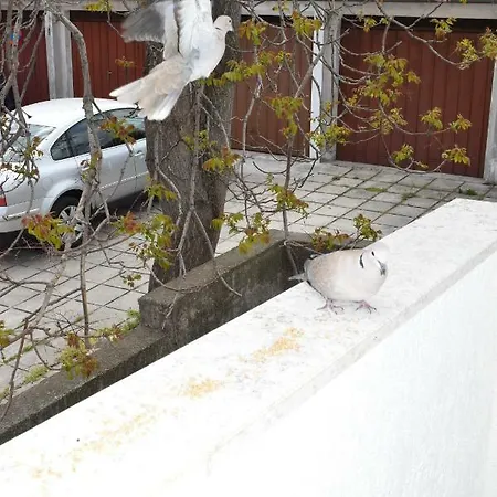 - Apartman Essa Apartment *